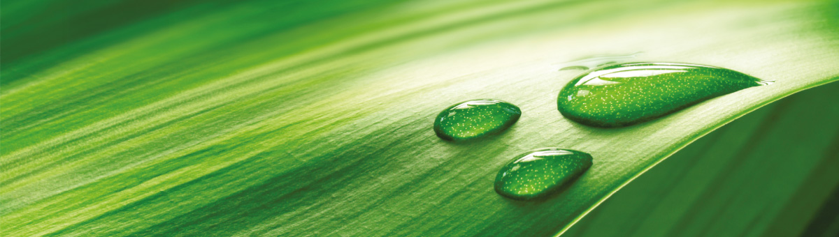 profesinalni-pece-mastna-plet-akne-yellow-rose